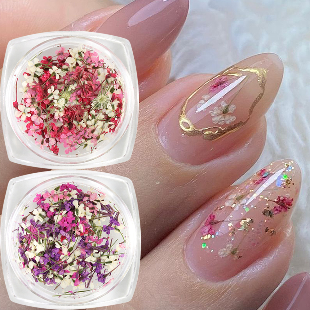 Mixed Colors Gypsophila False  - Dried Flower Bulk recensione e prezzo