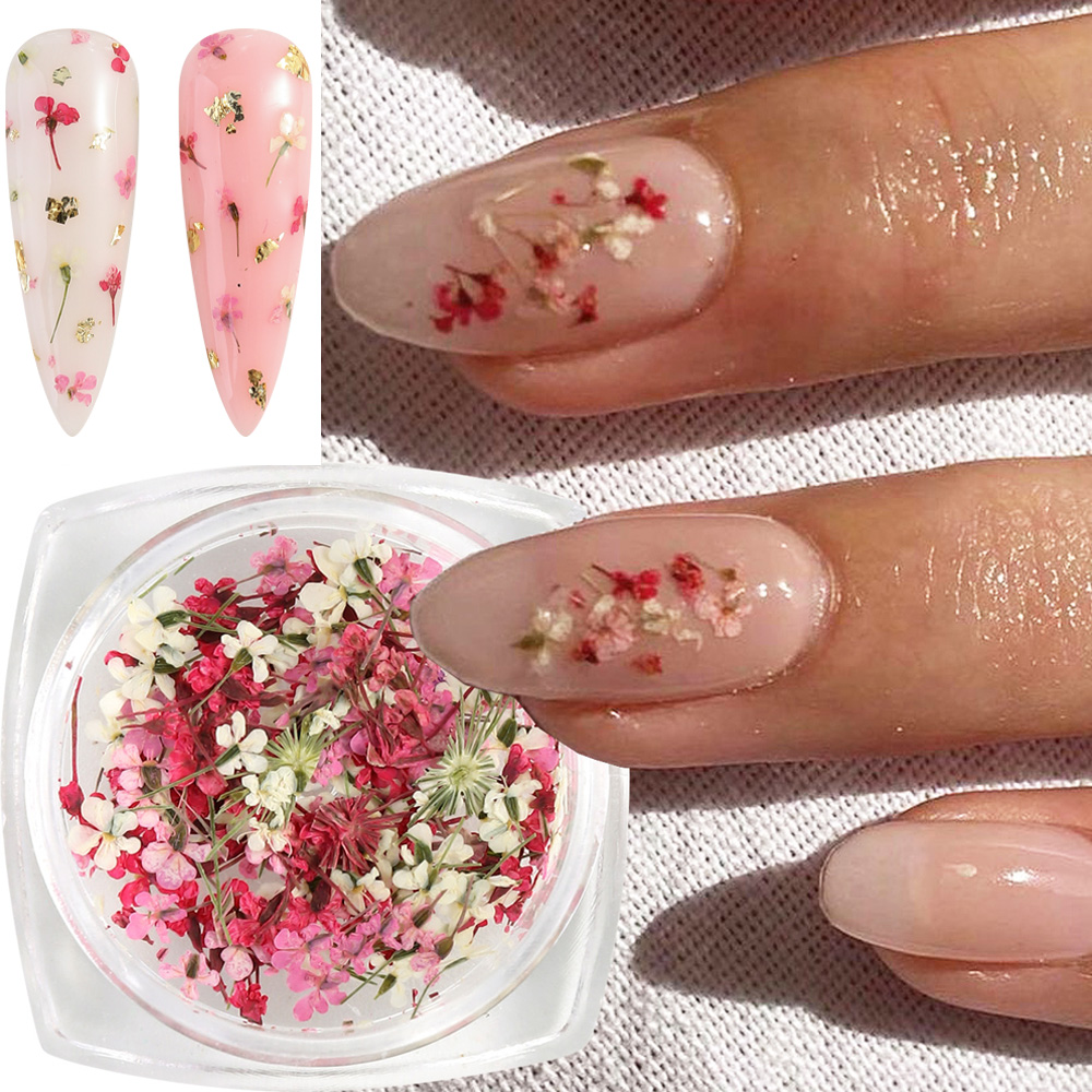 Mixed Colors Gypsophila False  - Dried Flower Bulk recensione e prezzo