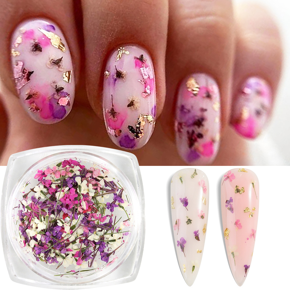 Mixed Colors Gypsophila False  - Dried Flower Bulk recensione e prezzo