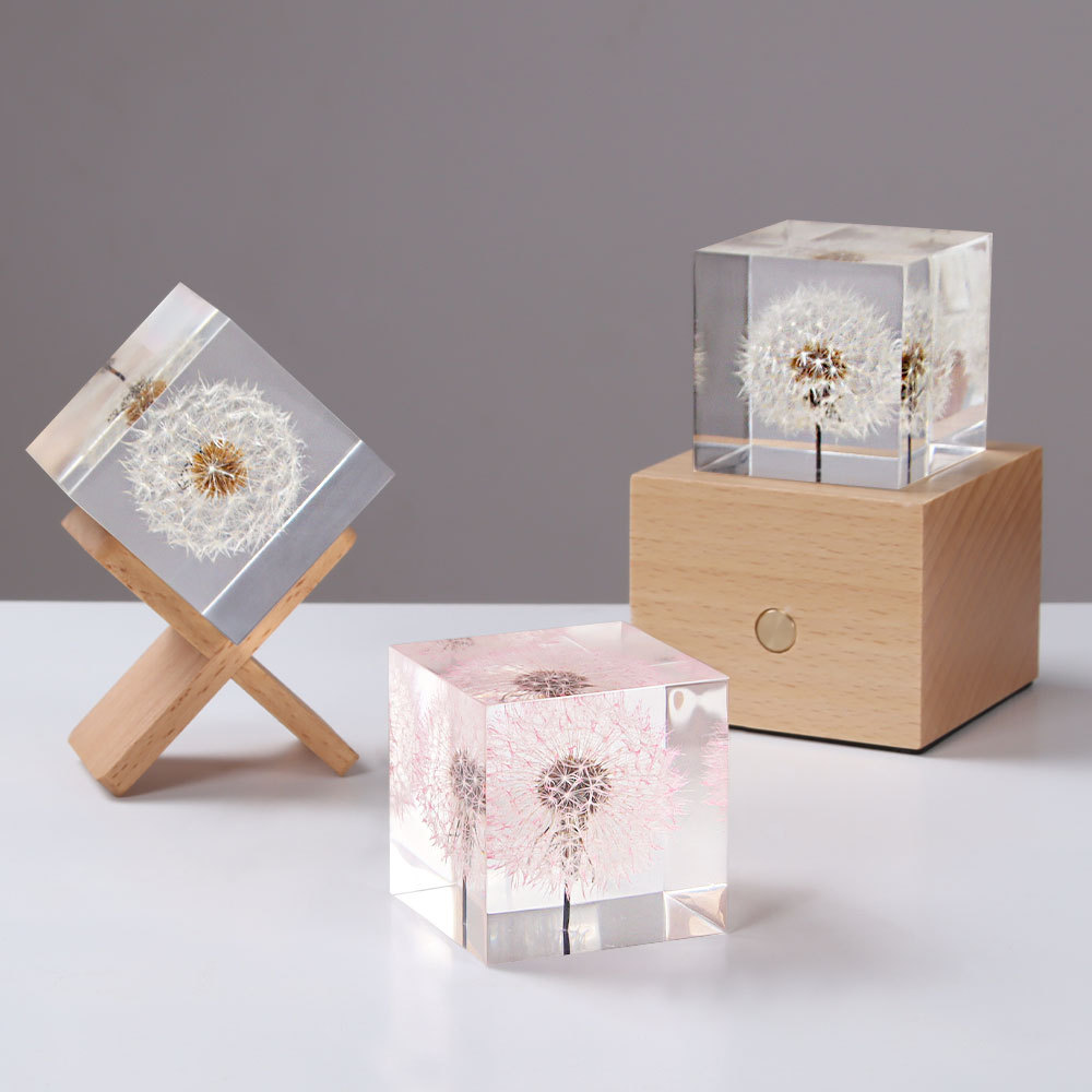 Dandelion preserved fresh flow - Flower Preservation Resin recensione e prezzo
