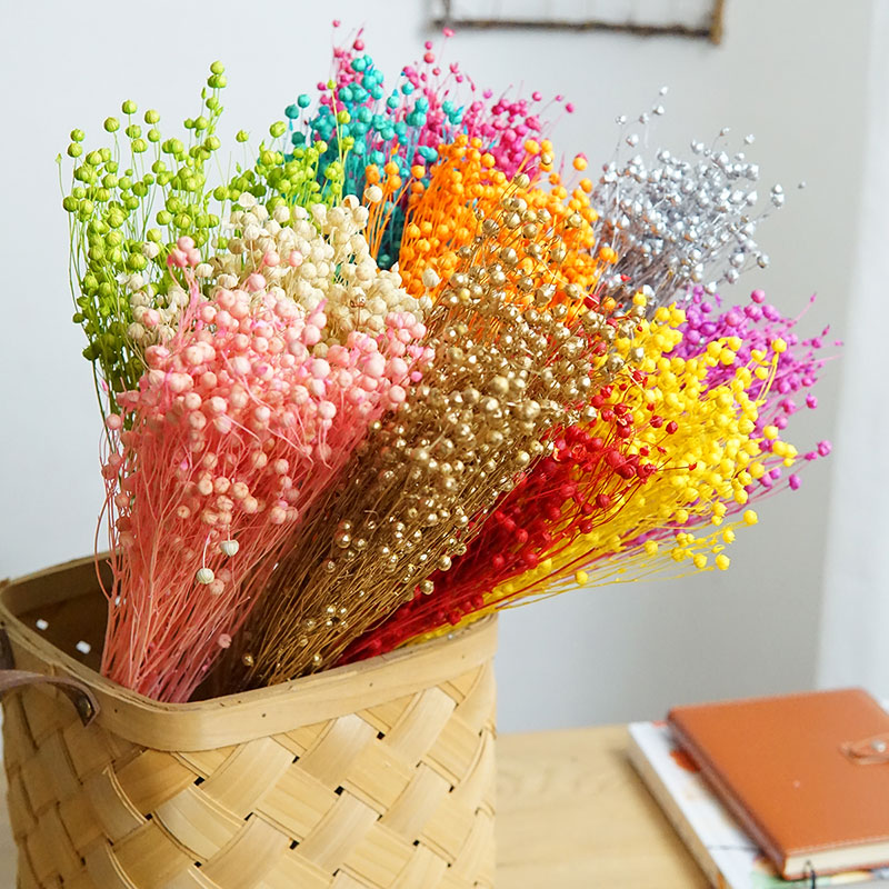 35g/Preserved Ormosia Hosiei N - Dried Flower Bulk recensione e prezzo