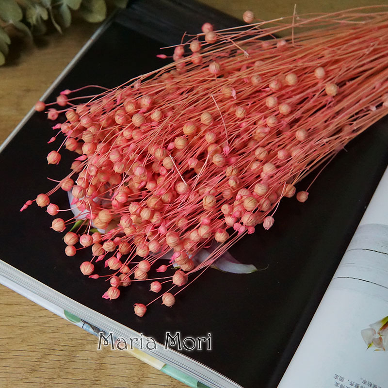 35g/Preserved Ormosia Hosiei N - Dried Flower Bulk recensione e prezzo