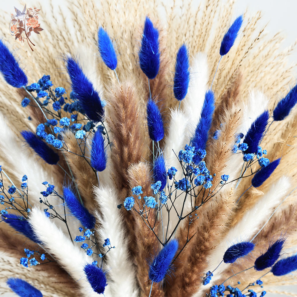 70 Stem Blue Fluffly Rabbit Ta - Dried Flower Bulk recensione e prezzo