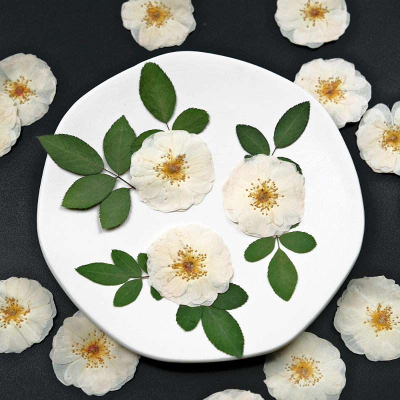 6pcs,9pcs,Nature White Rose Pr - Dried Flower Bulk recensione e prezzo