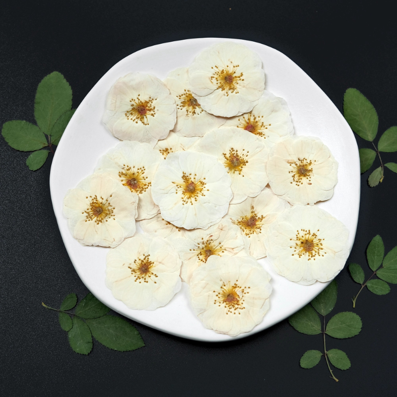 6pcs,9pcs,Nature White Rose Pr - Dried Flower Bulk recensione e prezzo