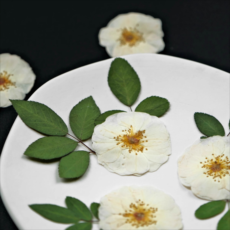 6pcs,9pcs,Nature White Rose Pr - Dried Flower Bulk recensione e prezzo