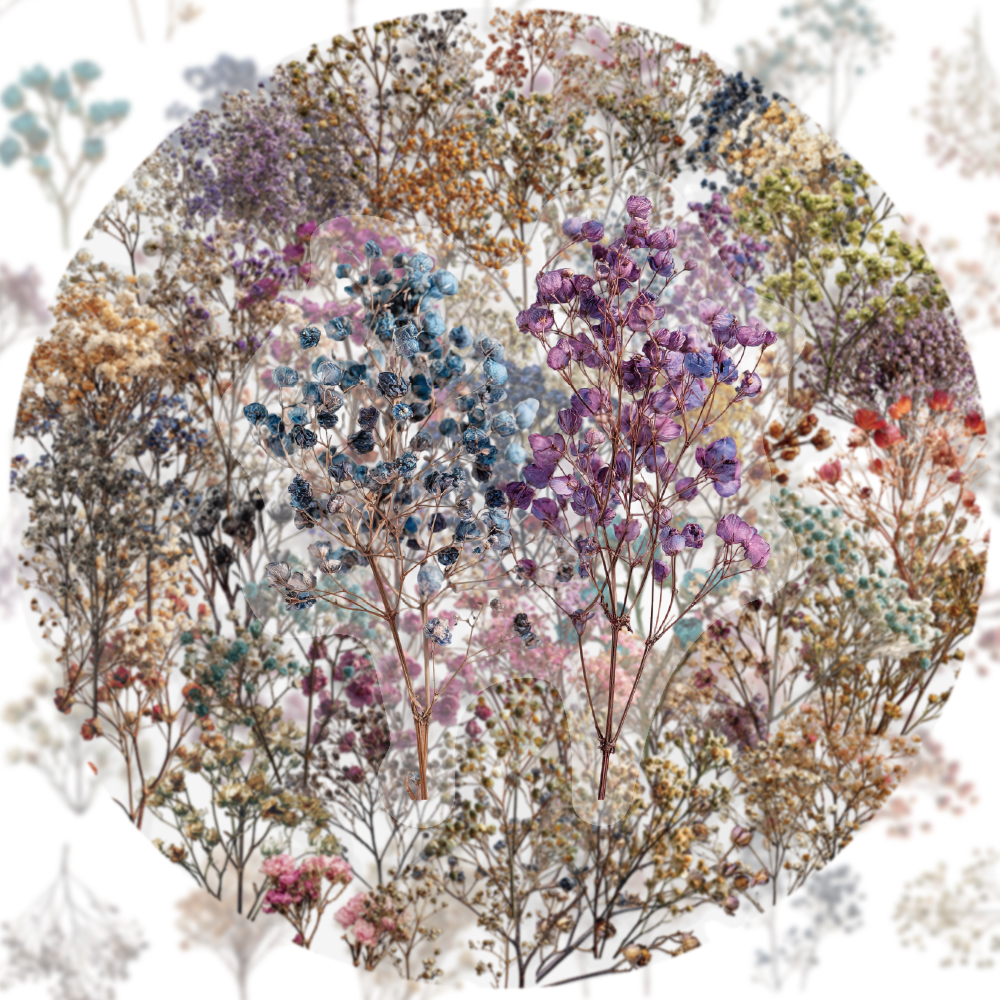 50PCS Retro Color Dried Flower - Dried Flower Bulk recensione e prezzo