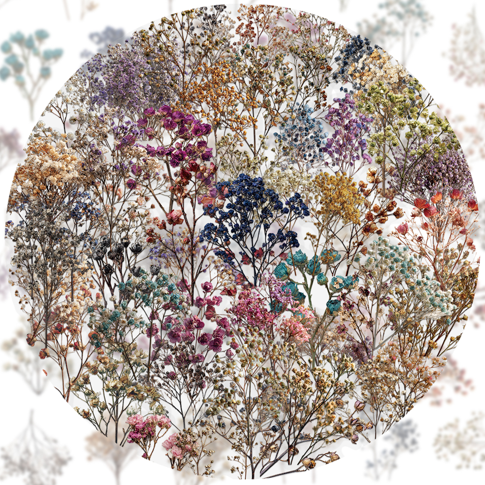 50PCS Retro Color Dried Flower - Dried Flower Bulk recensione e prezzo