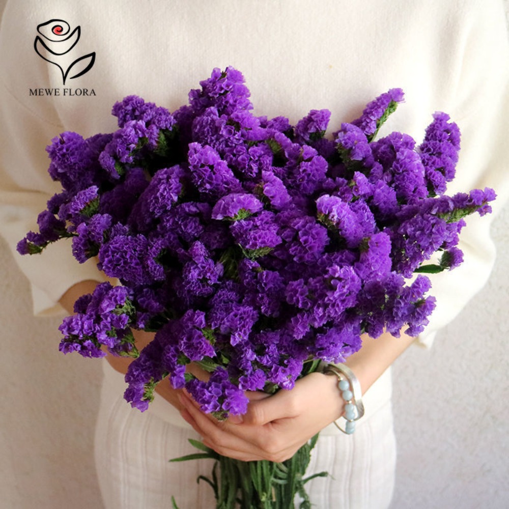100g Dried Forget Me Not Flowe - Dried Flower Bulk recensione e prezzo