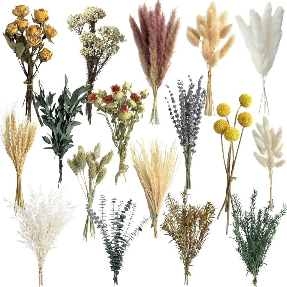 Natural Dried Flower Set, Mini - Dried Flower Bulk recensione e prezzo