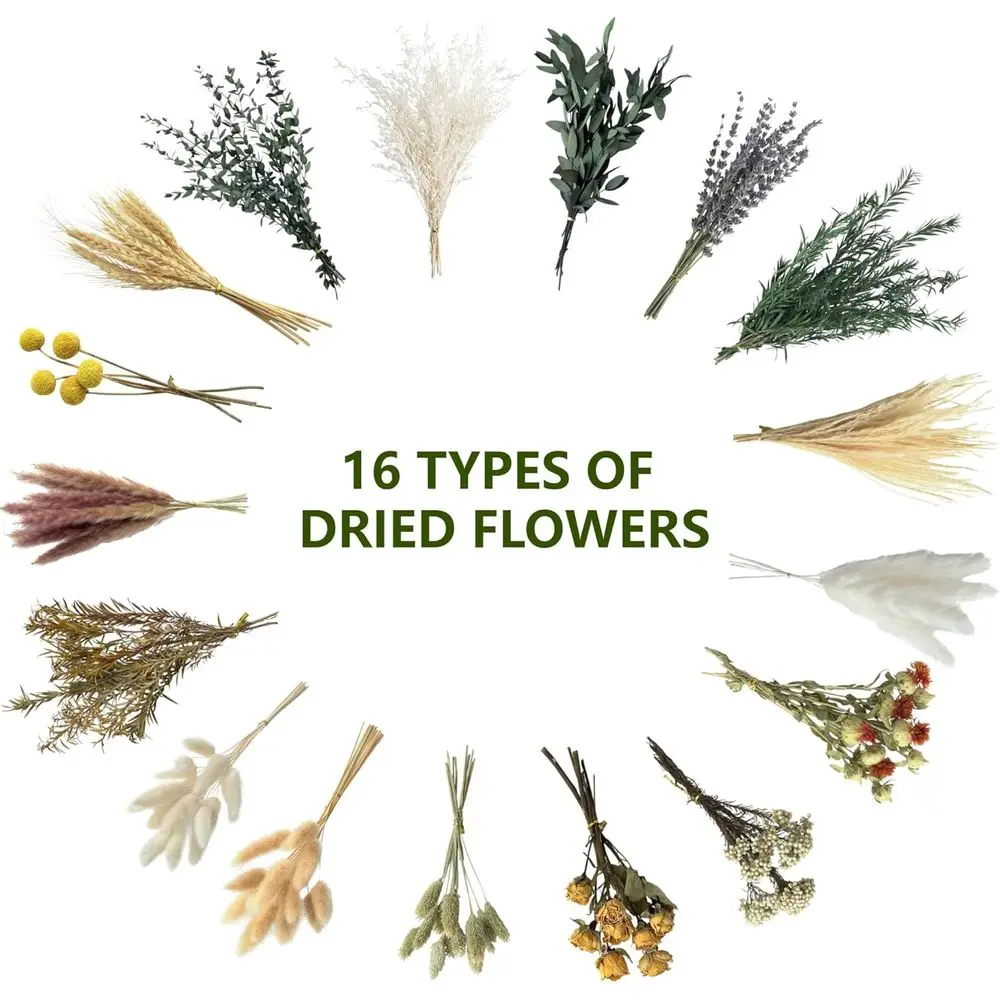 Natural Dried Flower Set, Mini - Dried Flower Bulk recensione e prezzo