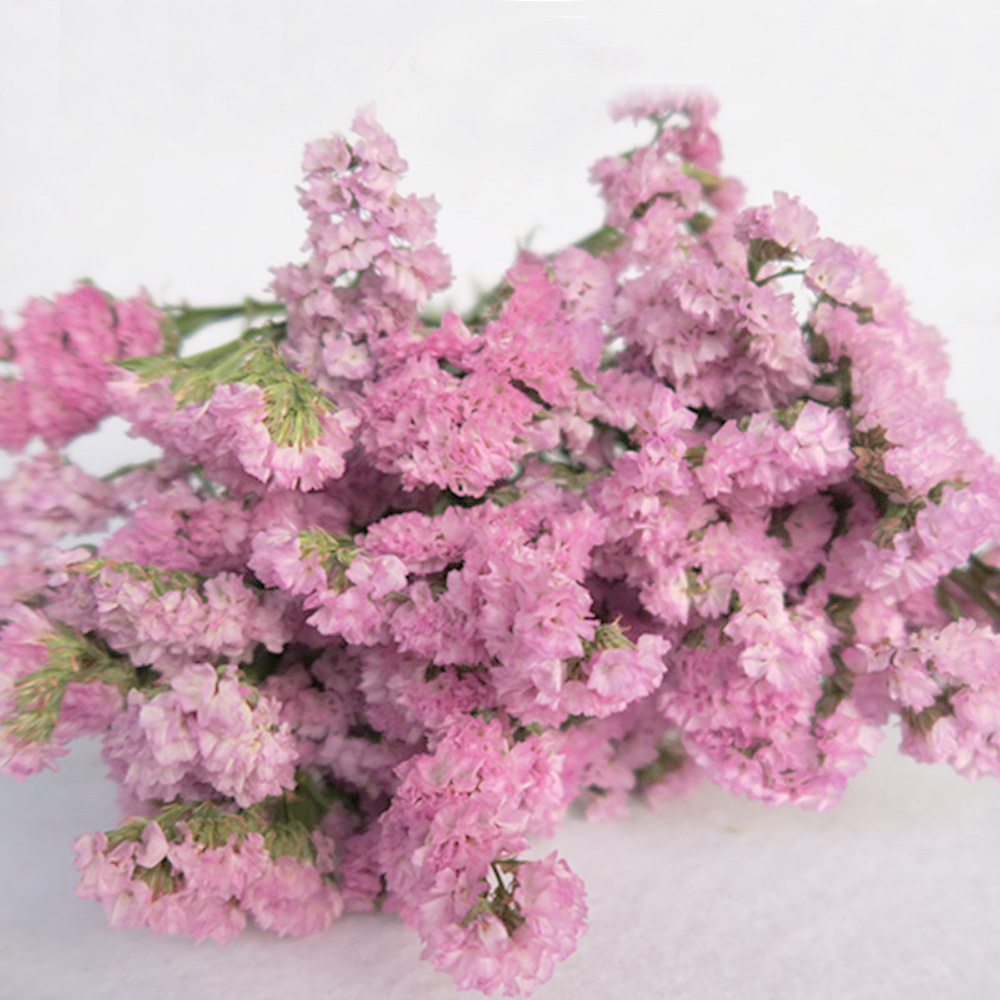 Pink color dried natural flowe - Dried Flower Bulk recensione e prezzo