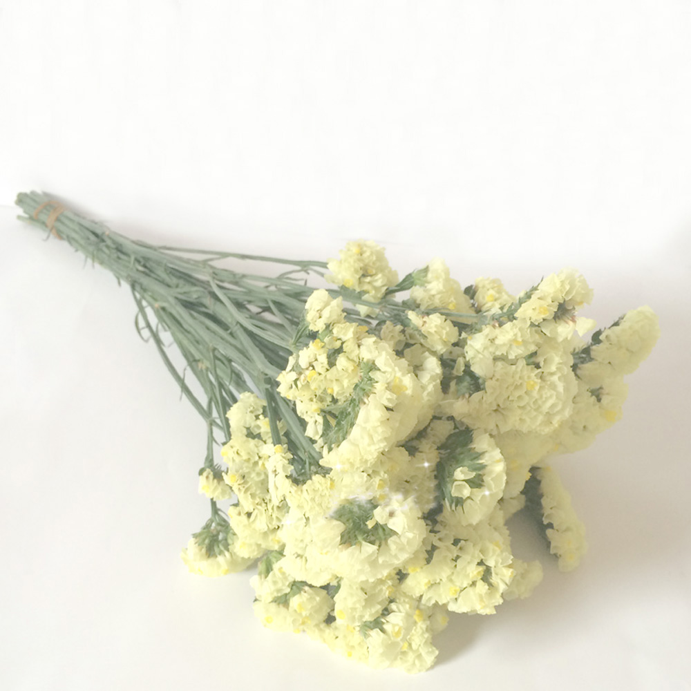 Pink color dried natural flowe - Dried Flower Bulk recensione e prezzo
