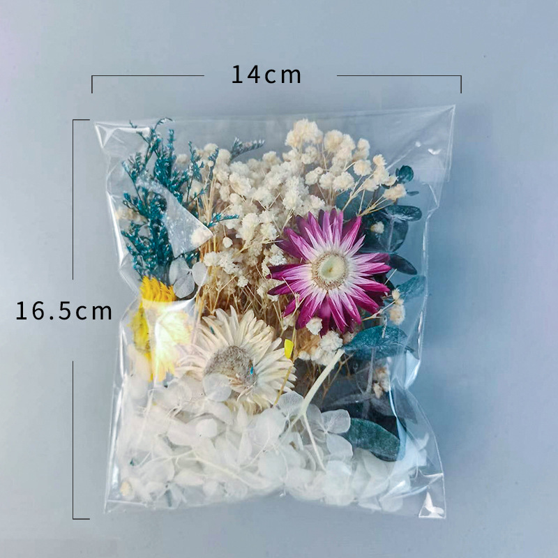 1pack Multifarious Dried Flowe - Dried Flower Bulk recensione e prezzo