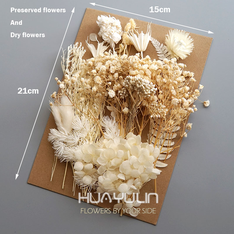 1 Pack Artificial Plants Dried - Dried Flower Bulk recensione e prezzo