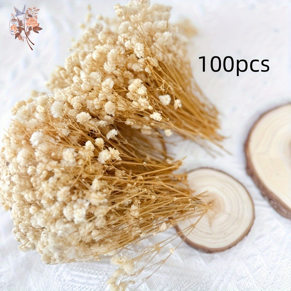 100pcs Mini Dried Baby's Breat - Dried Flower Bulk recensione e prezzo