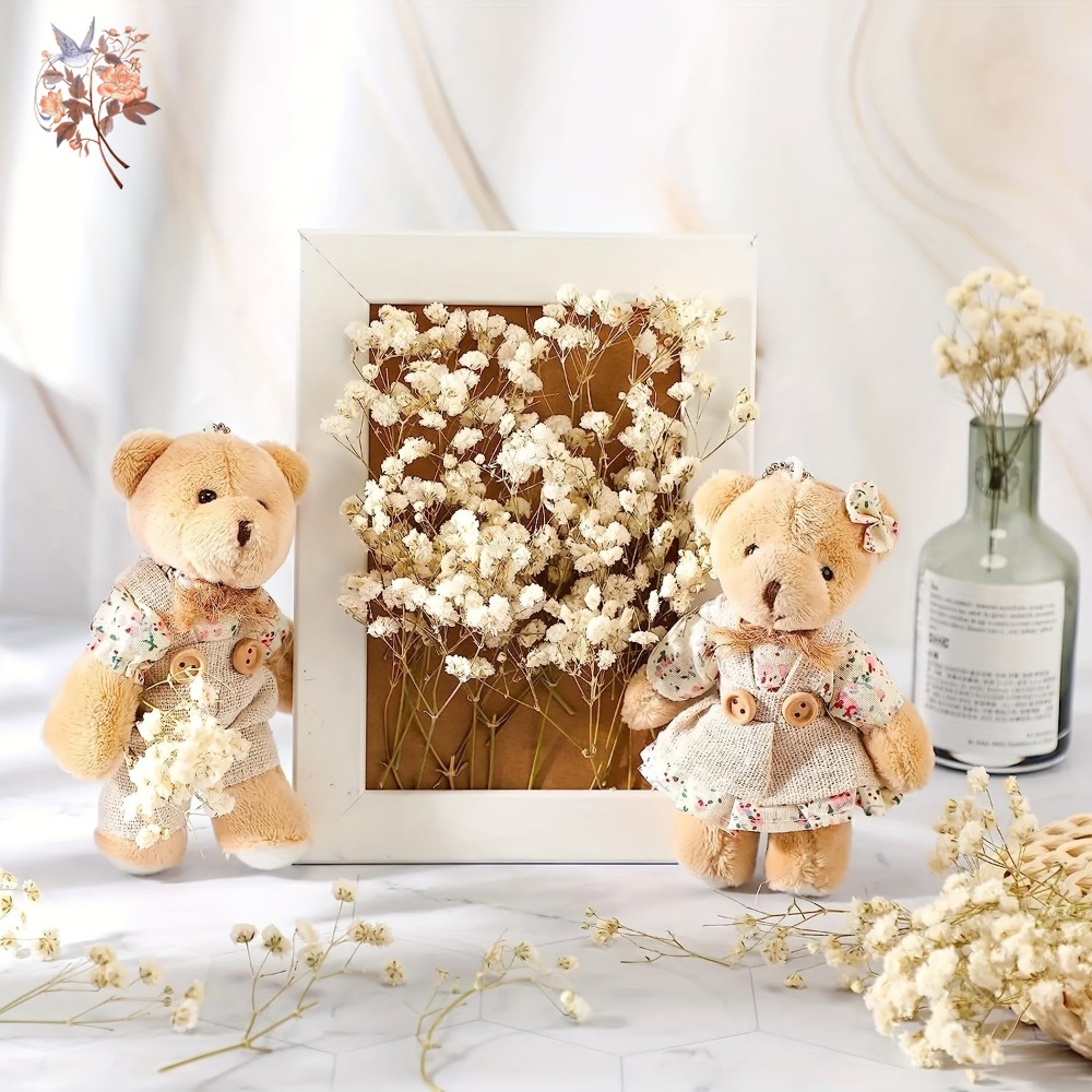 100pcs Mini Dried Baby's Breat - Dried Flower Bulk recensione e prezzo