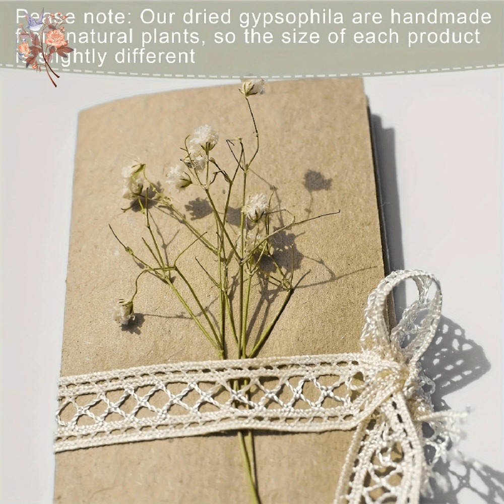 100pcs Mini Dried Baby's Breat - Dried Flower Bulk recensione e prezzo